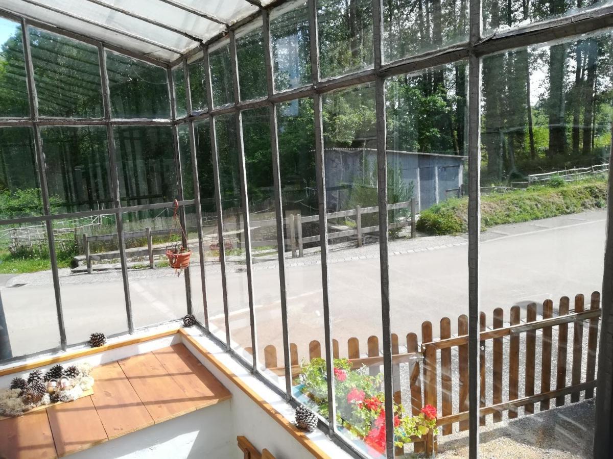 Petit Gite Cocoon Ty Bihan Ar Feunteun Scrignac Dış mekan fotoğraf